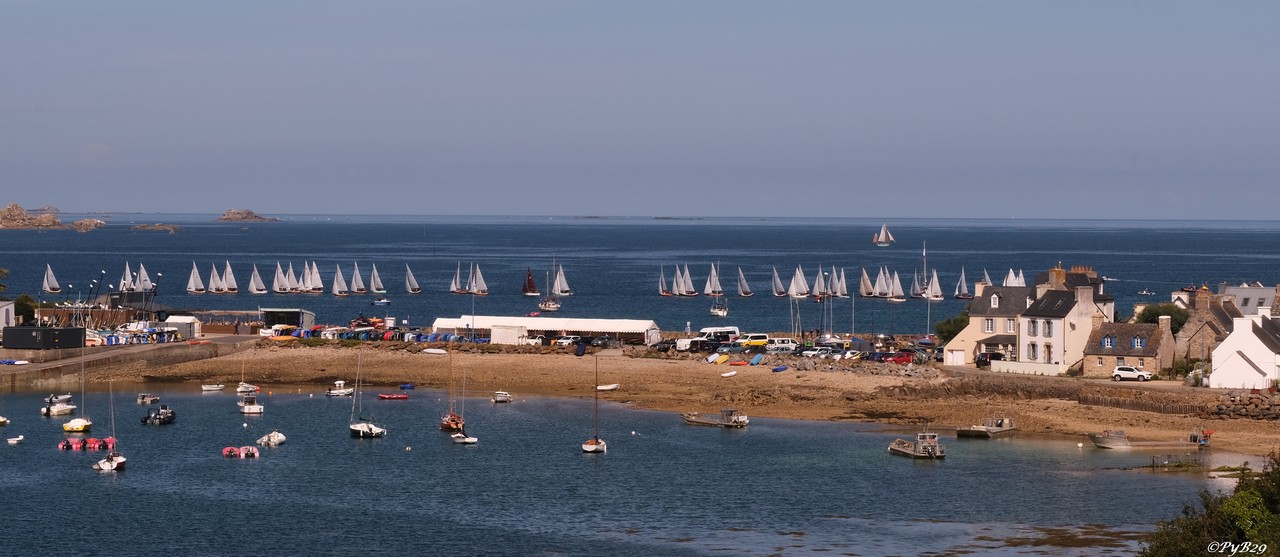 "Championnat de France Cormoran" dans la grand mare des cormorans. Photo pyb29