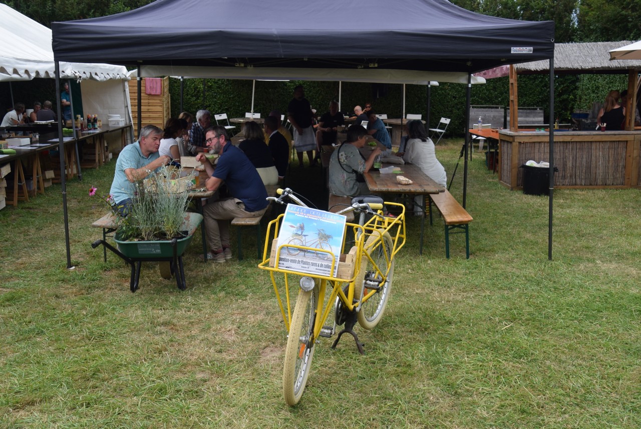 15e voyage des Plantes Pointe de Primel-Trgastel le 19 juillet 2025. Photo pyb29