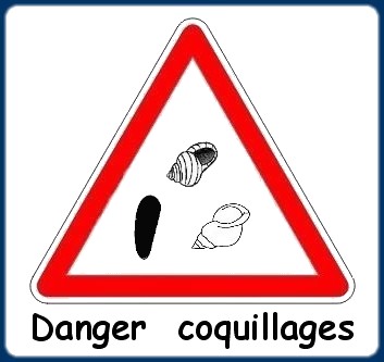 Danger coquillages