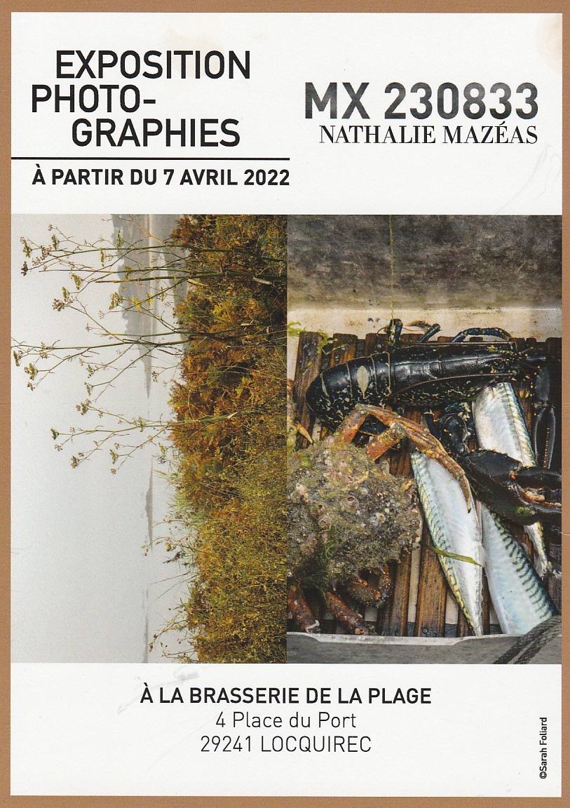 Expo Nathalie Mazeas Locquirec