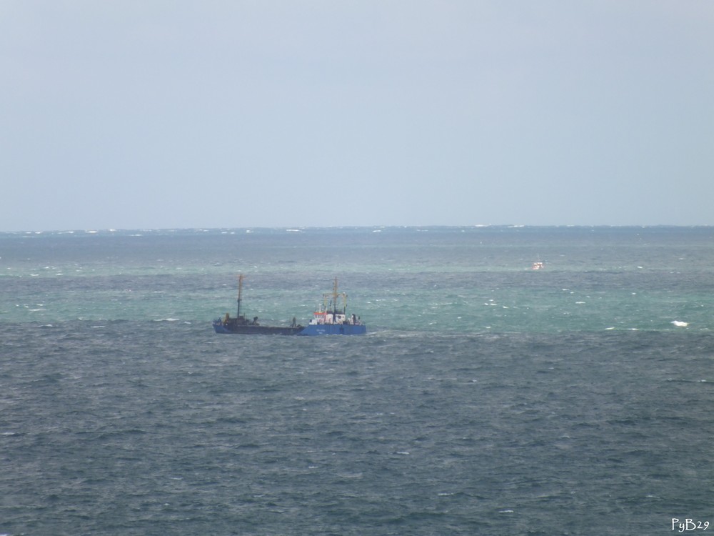 Sablier en Baie de Morlaix le 21.04.12 au nord-ouest de la Pointe Analouesten.